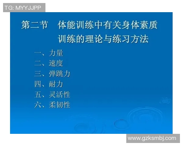 体育实时数据排球新手必看耐力训练技巧与实用入门指南