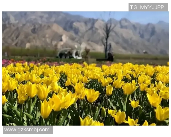 西安街舞队勇闯攀岩联赛逆袭之旅展现青春风采与团队精神实时数据